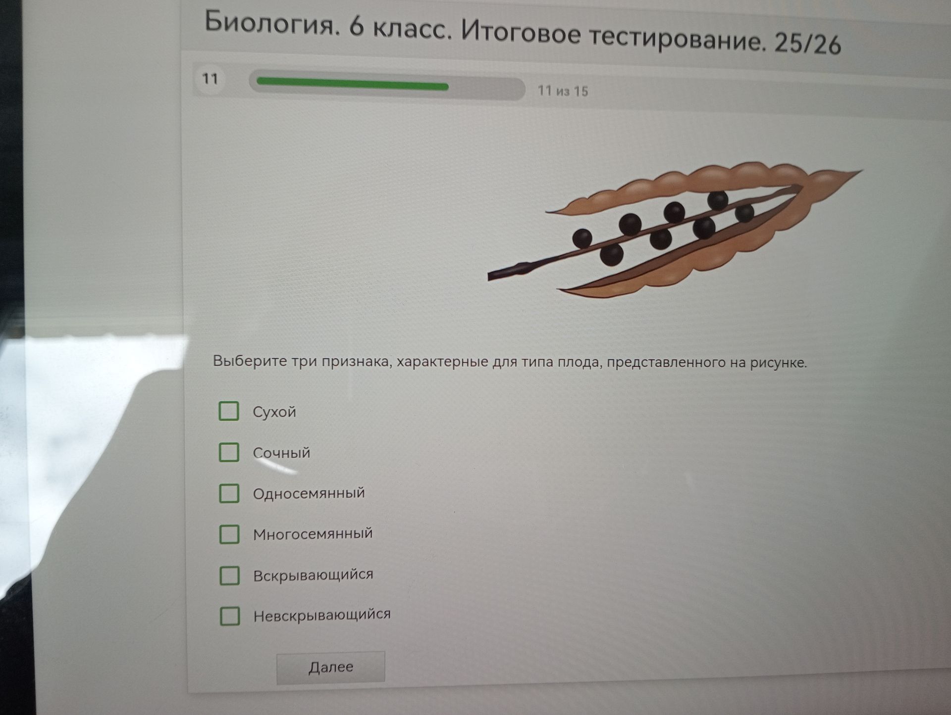 Фото задания: Биология. 6 класс. Итоговое тестирование. 25/26 11 11 из 15 Выберите три признака, характерные для типа плода,…