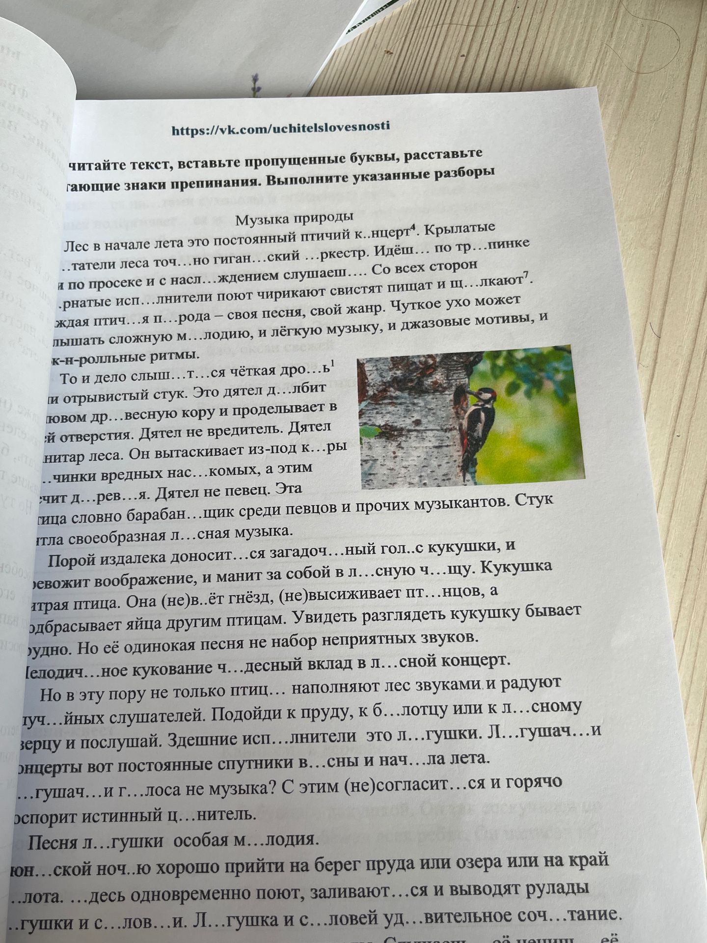 Фото задания: Вставьте пропущенные буквы и расставьте знаки препинания. Выполните указанные разборы.