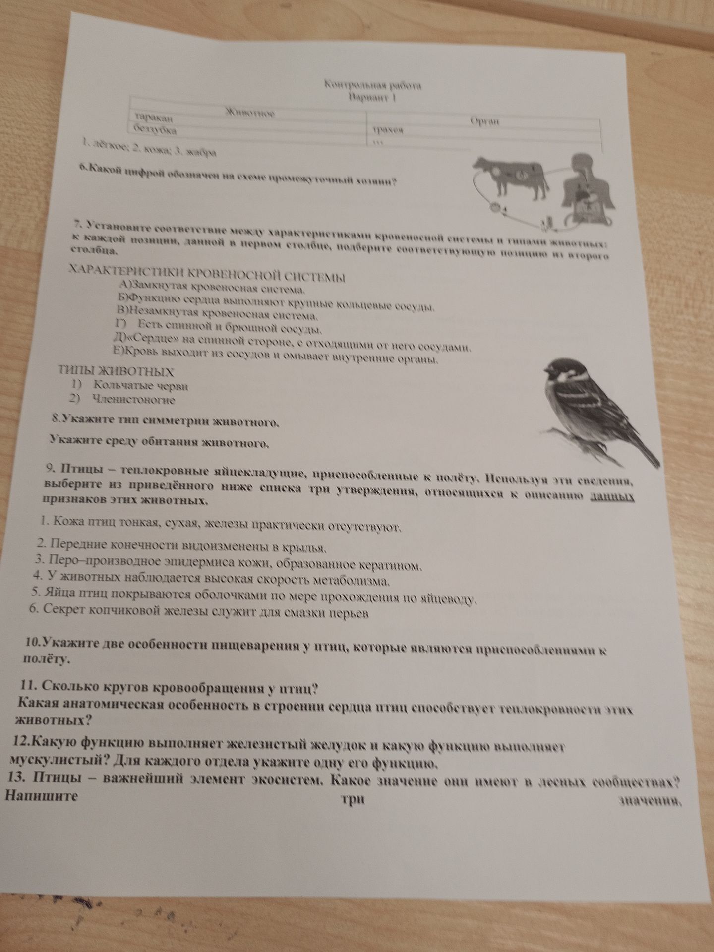 Фото задания: 8. Укажите тип симметрии животного. Укажите среду обитания животного.
