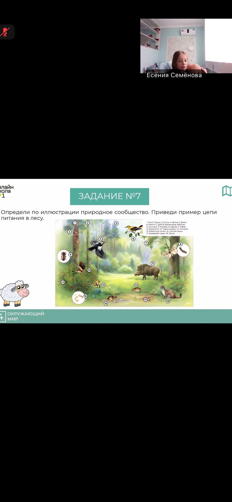Фото задания: Определи по иллюстрации природное сообщество. Приведи пример цепи питания в лесу.