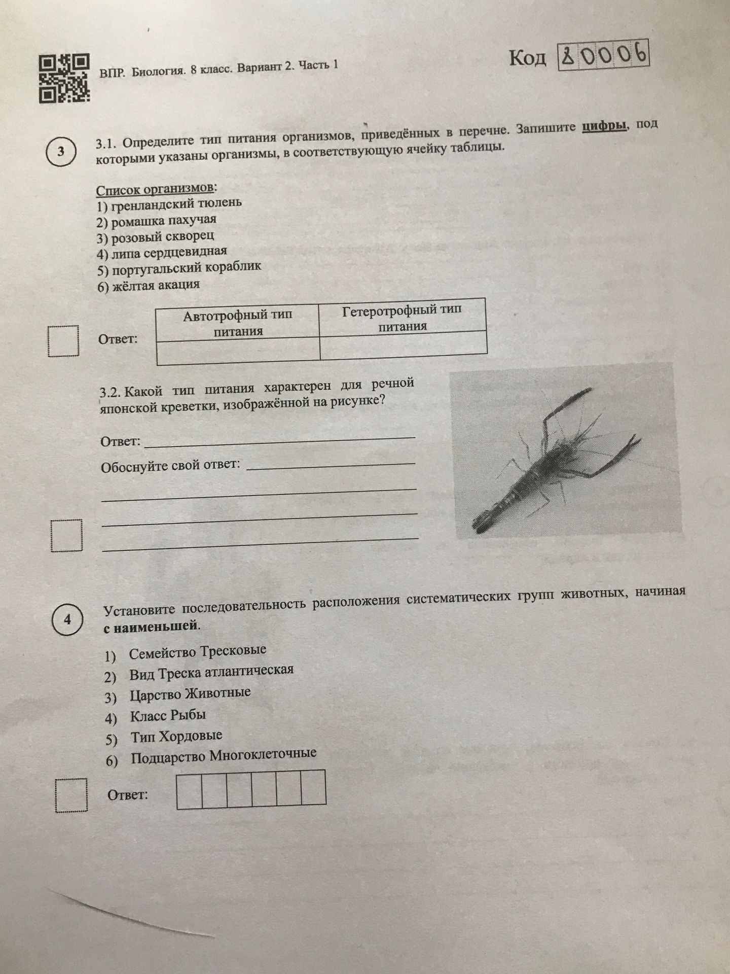 Фото задания: 3.2. Какой тип питания характерен для речной японской креветки, изображённой на рисунке? Обоснуйте свой ответ: