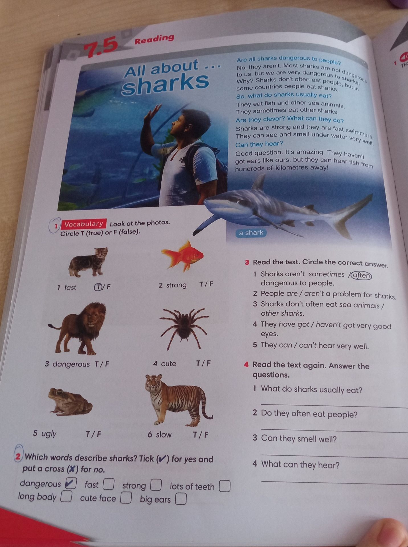 Фото задания: 4 Read the text again. Answer the questions.