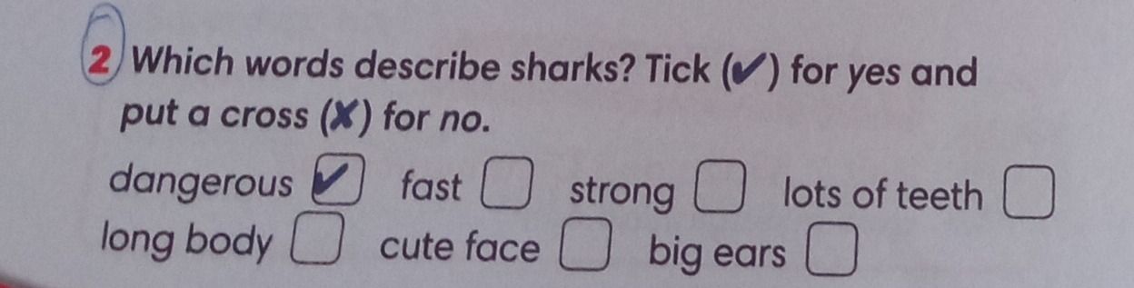 Фото задания: Which words describe sharks? Tick (✔) for yes and put a cross (X) for no.