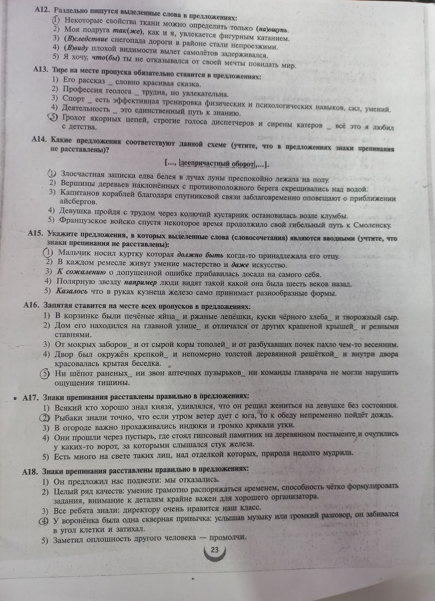 Фото задания: А17. Знаки препинания расставлены правильно в предложениях:
