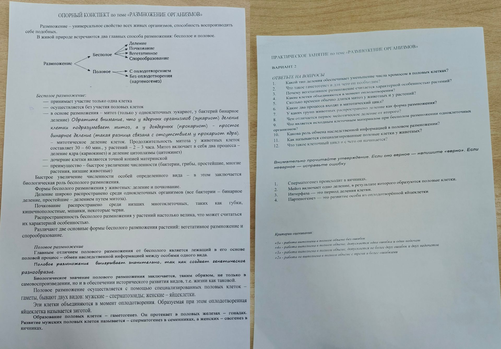 Фото задания: 6. Какие два процесса входят в митотический цикл?