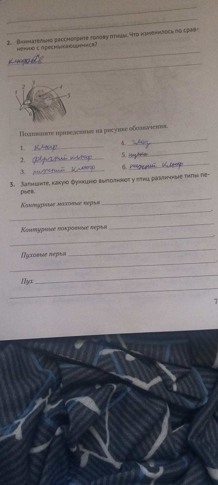Фото задания: Подпишите приведенные на рисунке обозначения.