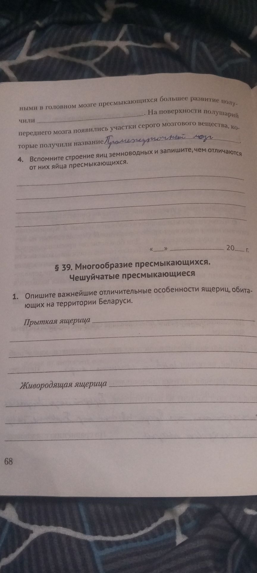 Фото задания: ными в головном мозге пресмыкающихся большее развитие полу- чили _______. На поверхности полушарий переднего мозга…