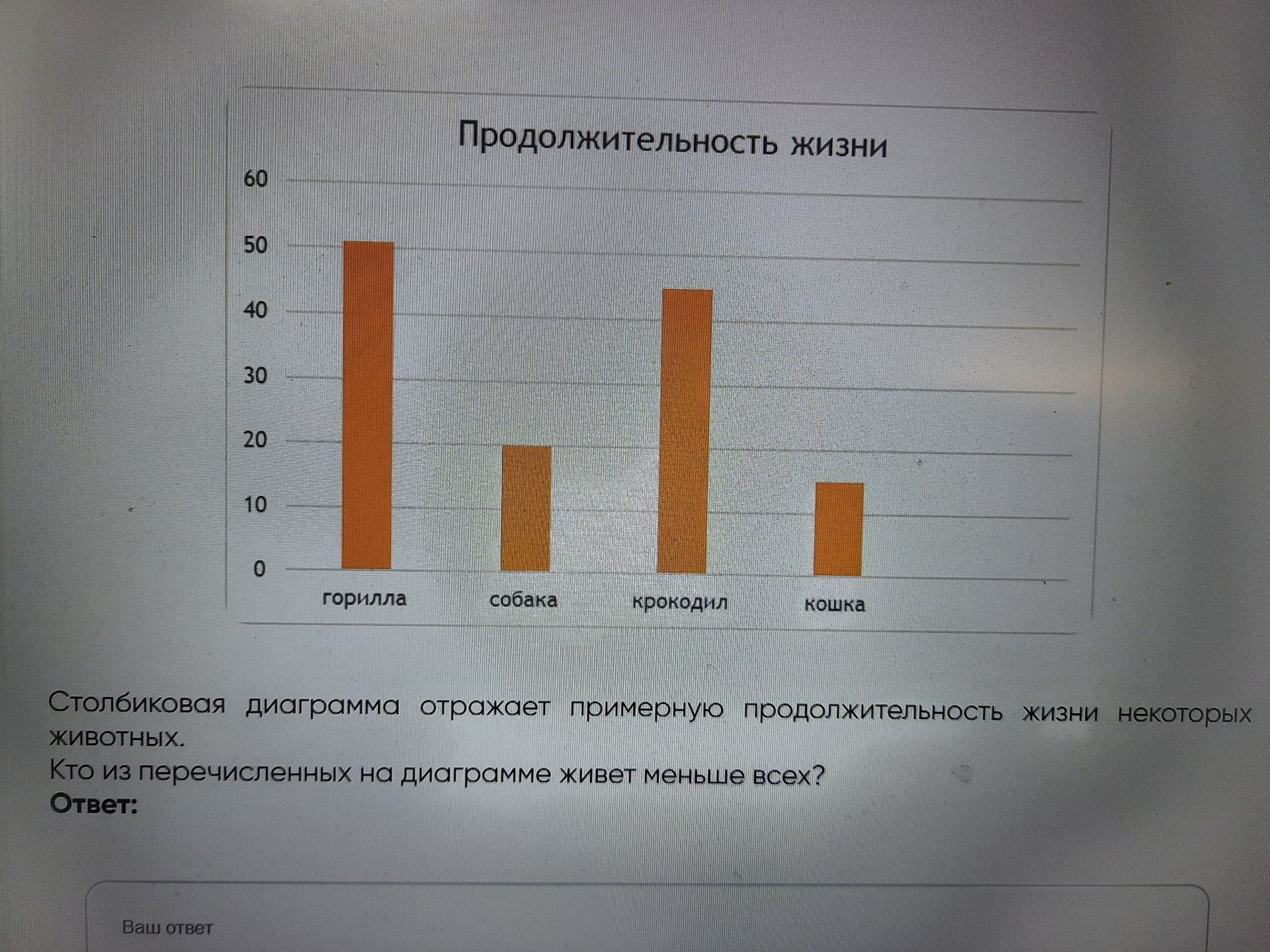 Фото задания: Столбиковая диаграмма отражает примерную продолжительность жизни некоторых животных. Кто из перечисленных на диаграмме…