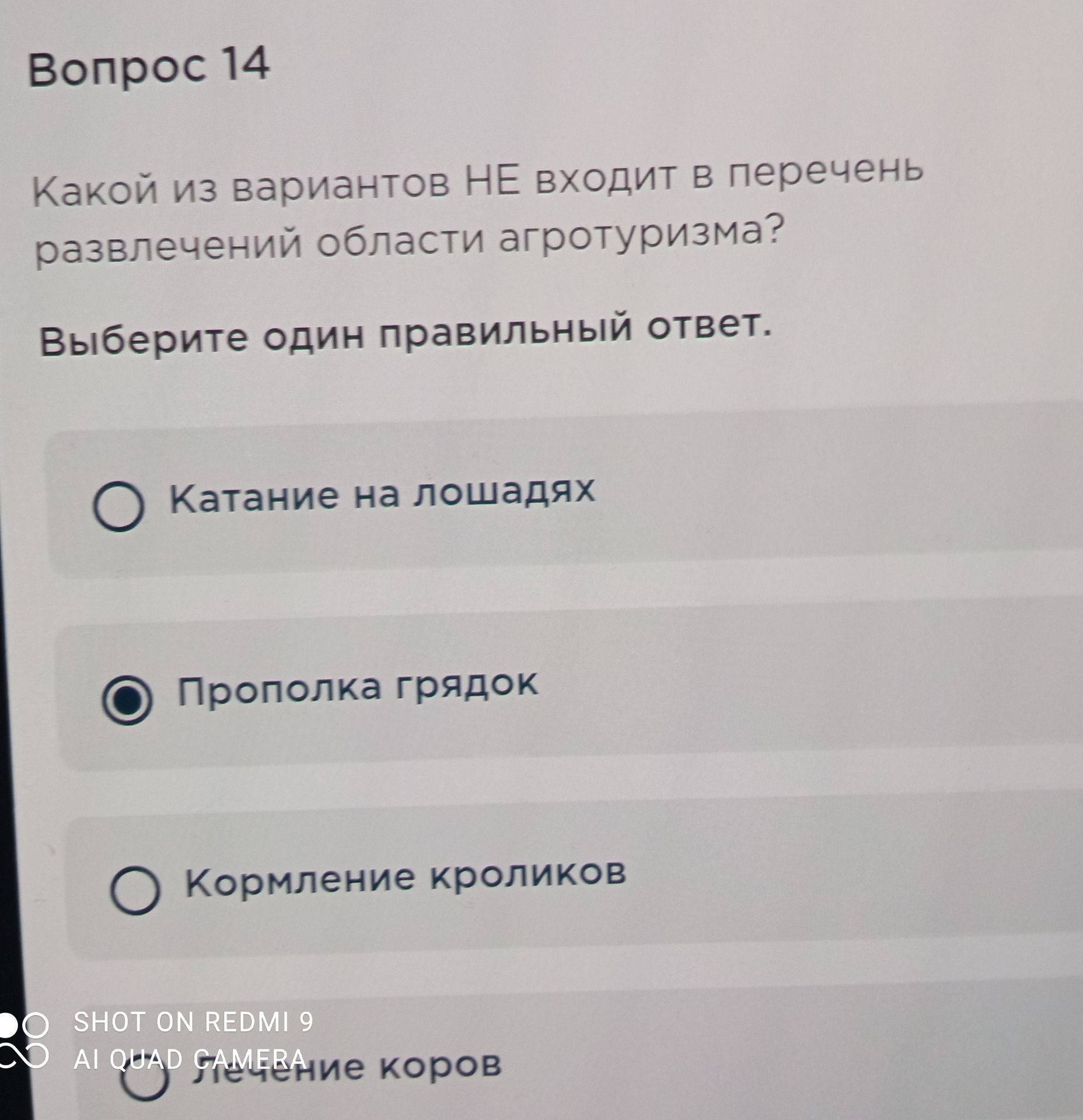Фото задания: Какой из вариантов НЕ входит в перечень развлечений области агротуризма? Выберите один правильный ответ.