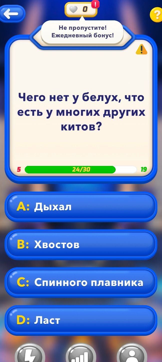 Фото задания: Чего нет у белух, что есть у многих других китов?