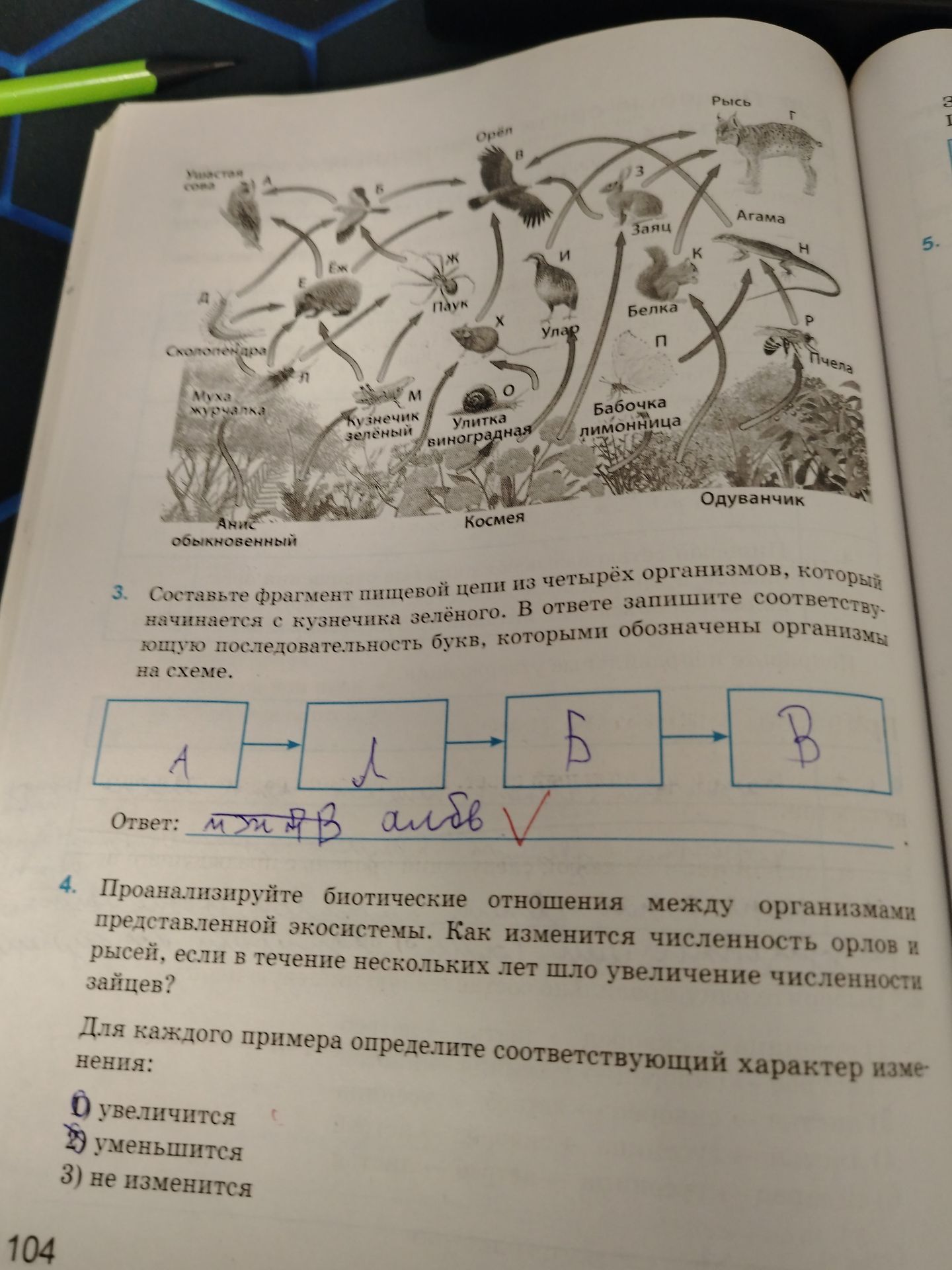 Фото задания: 3. Составьте фрагмент пищевой цепи из четырёх организмов, который начинается с кузнечика зелёного. В ответе запишите…