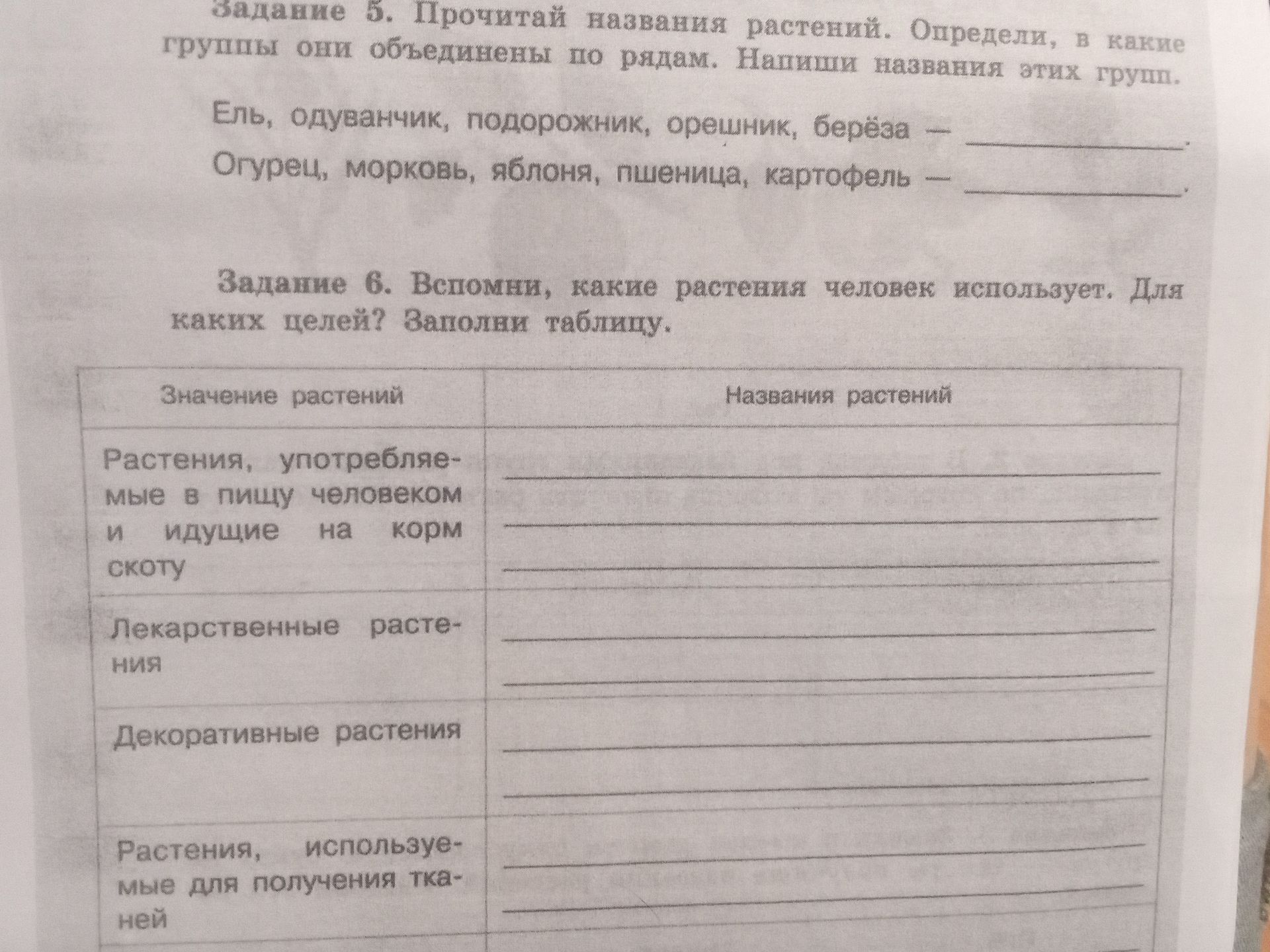 Фото задания: Задание 5. Прочитай названия растений. Определи, в какие группы они объединены по рядам. Напиши названия этих групп.