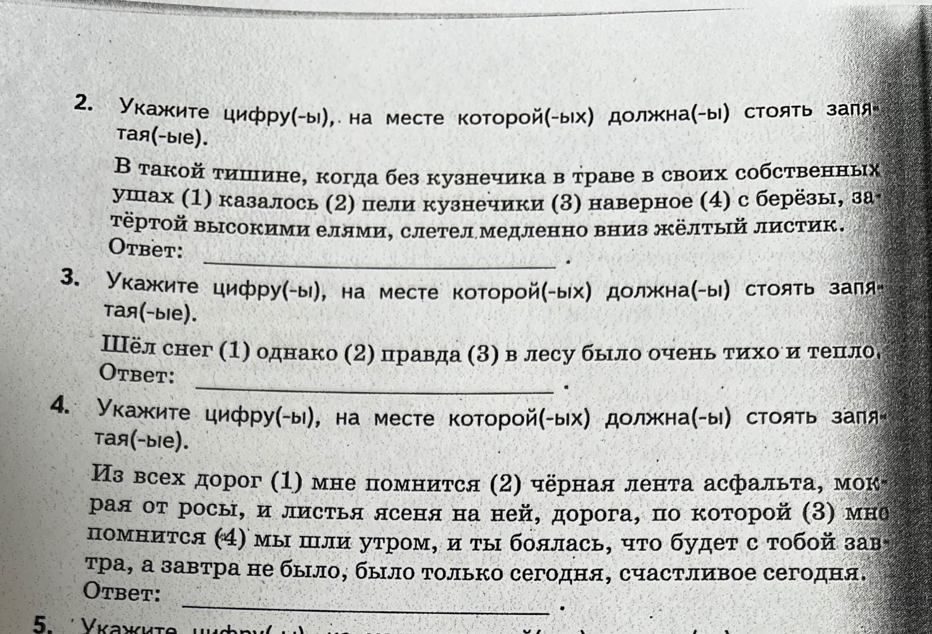 Фото задания: 2. Укажите цифру(-ы), на месте которой(-ых) должна(-ы) стоять запятая(-ые). В такой тишине, когда без кузнечика в траве в…
