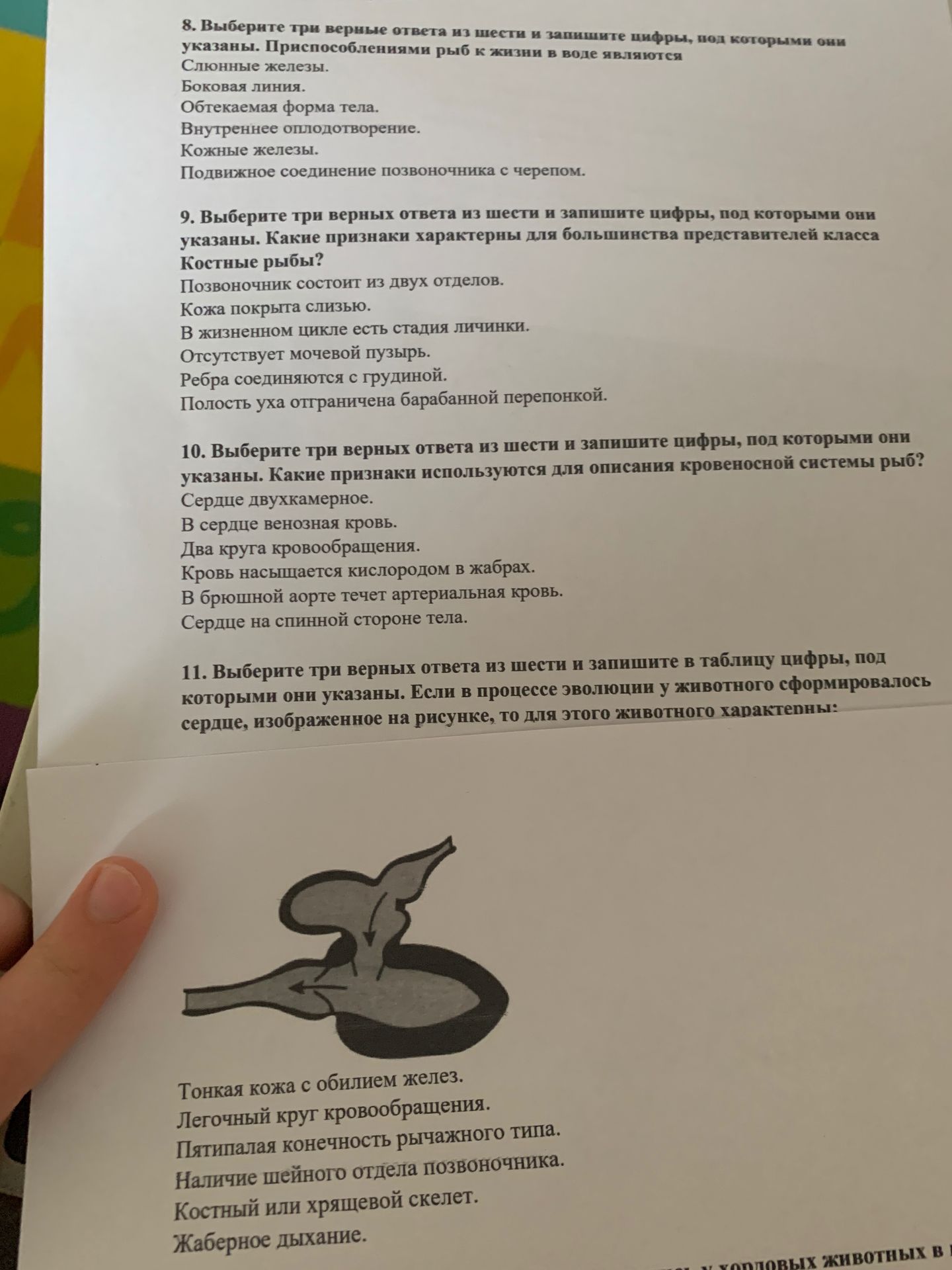 Фото задания: 9. Выберите три верных ответа из шести и запишите цифры, под которыми они указаны. Какие признаки характерны для…