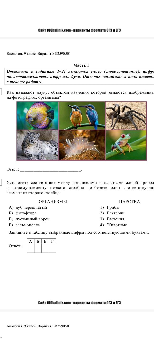 Фото задания: Как называют науку, объектом изучения которой являются изображённые на фотографиях организмы?