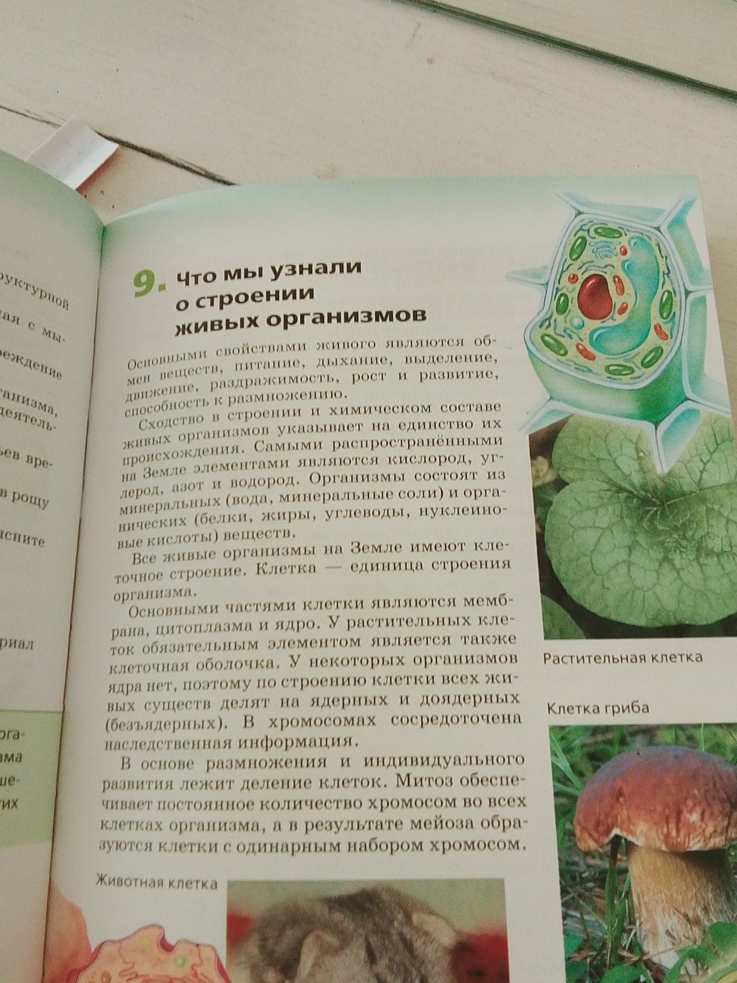 Фото задания: What did we learn about the structure of living organisms?