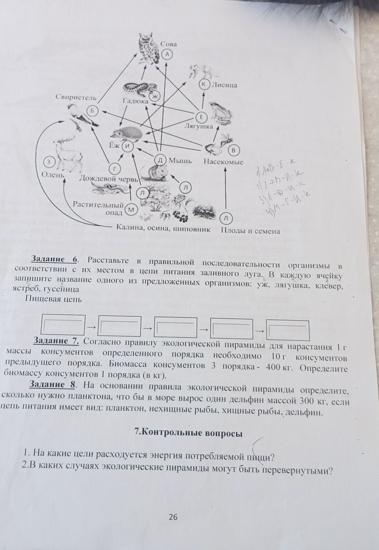 Фото задания: Задание 6. Расставьте в правильной последовательности организмы в соответствии с их местом в цепи питания заливного луга. В…