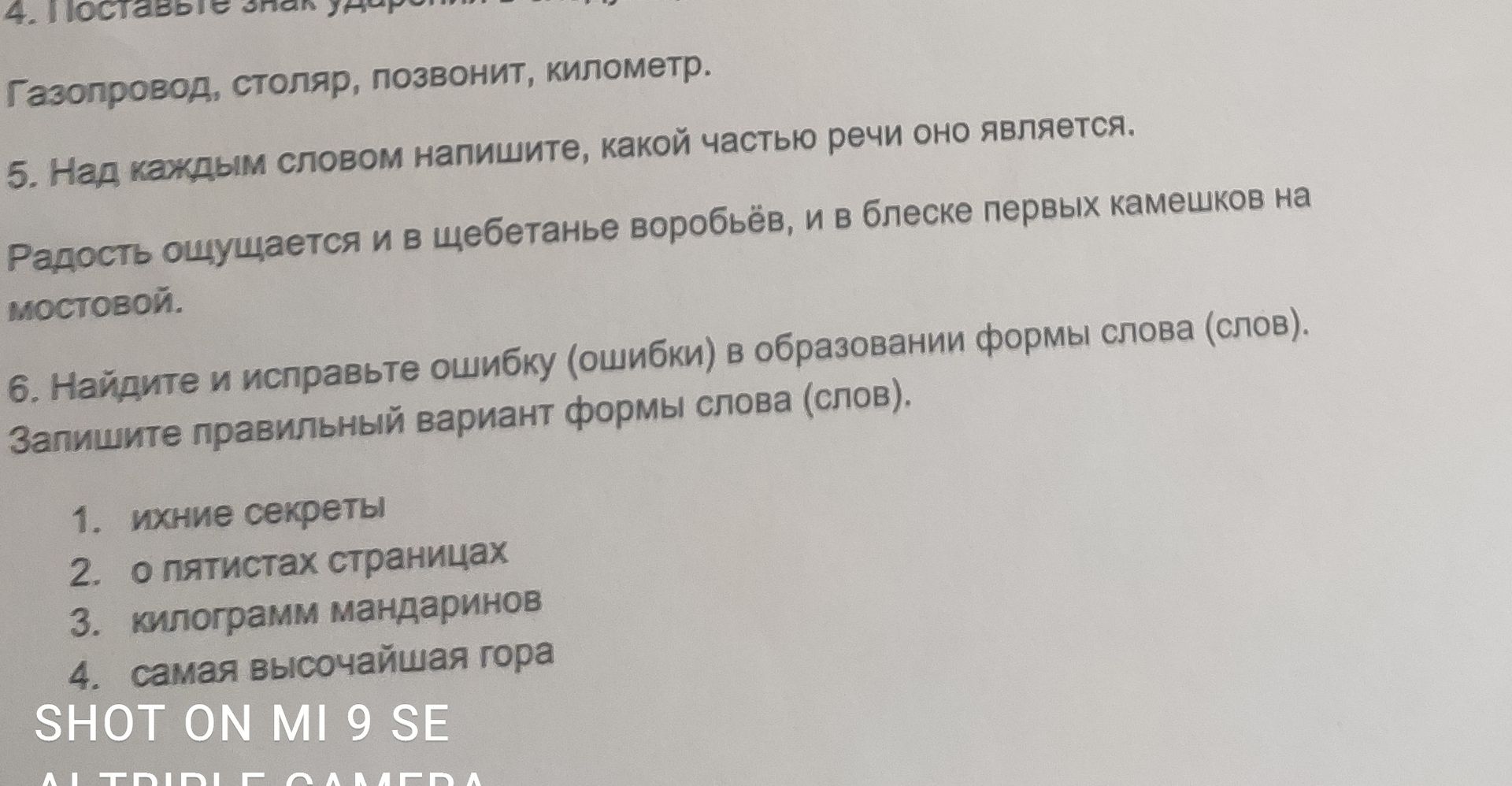Фото задания: Найдите и исправьте ошибку (ошибки) в образовании формы слова (слов). Запишите правильный вариант формы слова (слов).