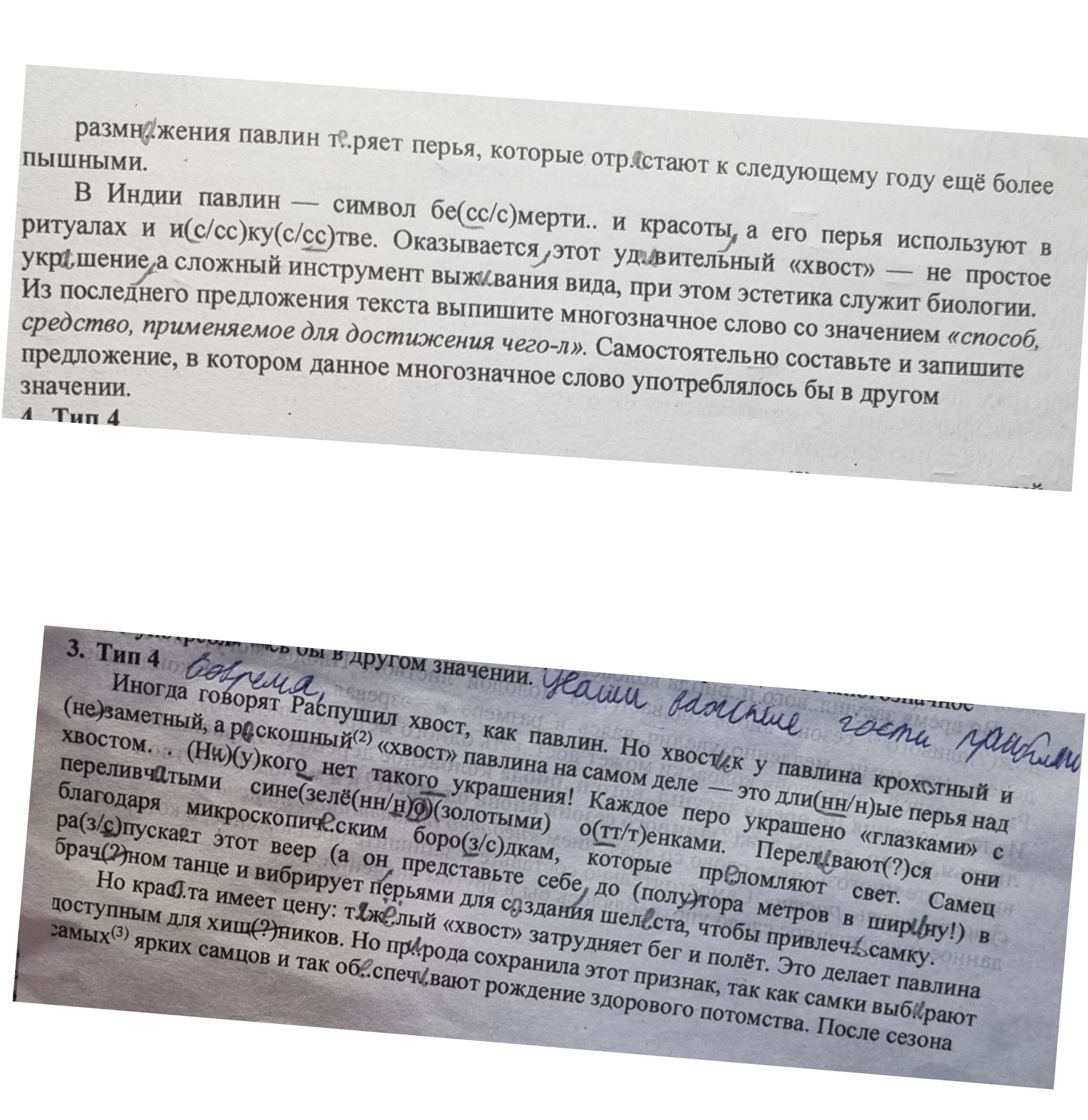Фото задания: Из последнего предложения текста выпишите многозначное слово со значением «способ, средство, применяемое для достижения…