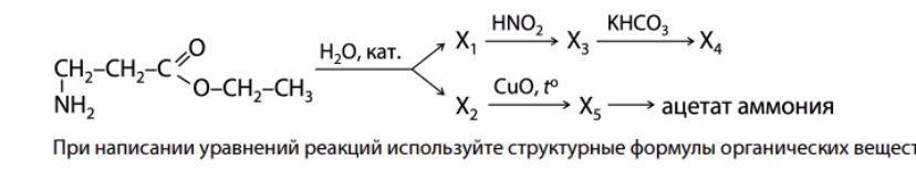 Фото задания: CH2-CH2-C(=O)-O-CH2-CH3 with NH2 group on the first CH2. This reacts with H2O (catalyst) to give X1 and X2. X1 reacts with…