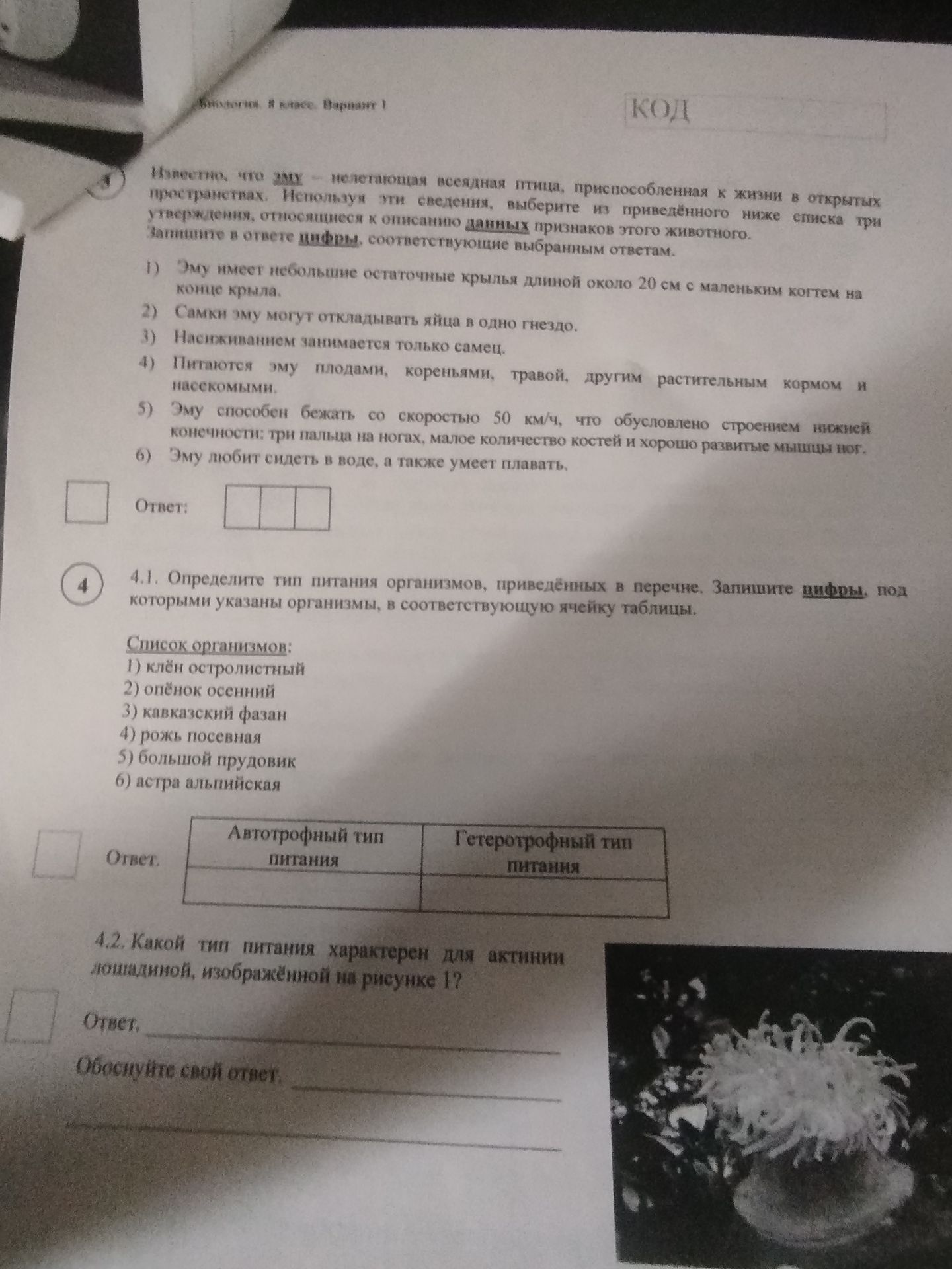 Фото задания: 4.2. Какой тип питания характерен для актинии лошадиной, изображённой на рисунке 1? Ответ. Обоснуйте свой ответ.