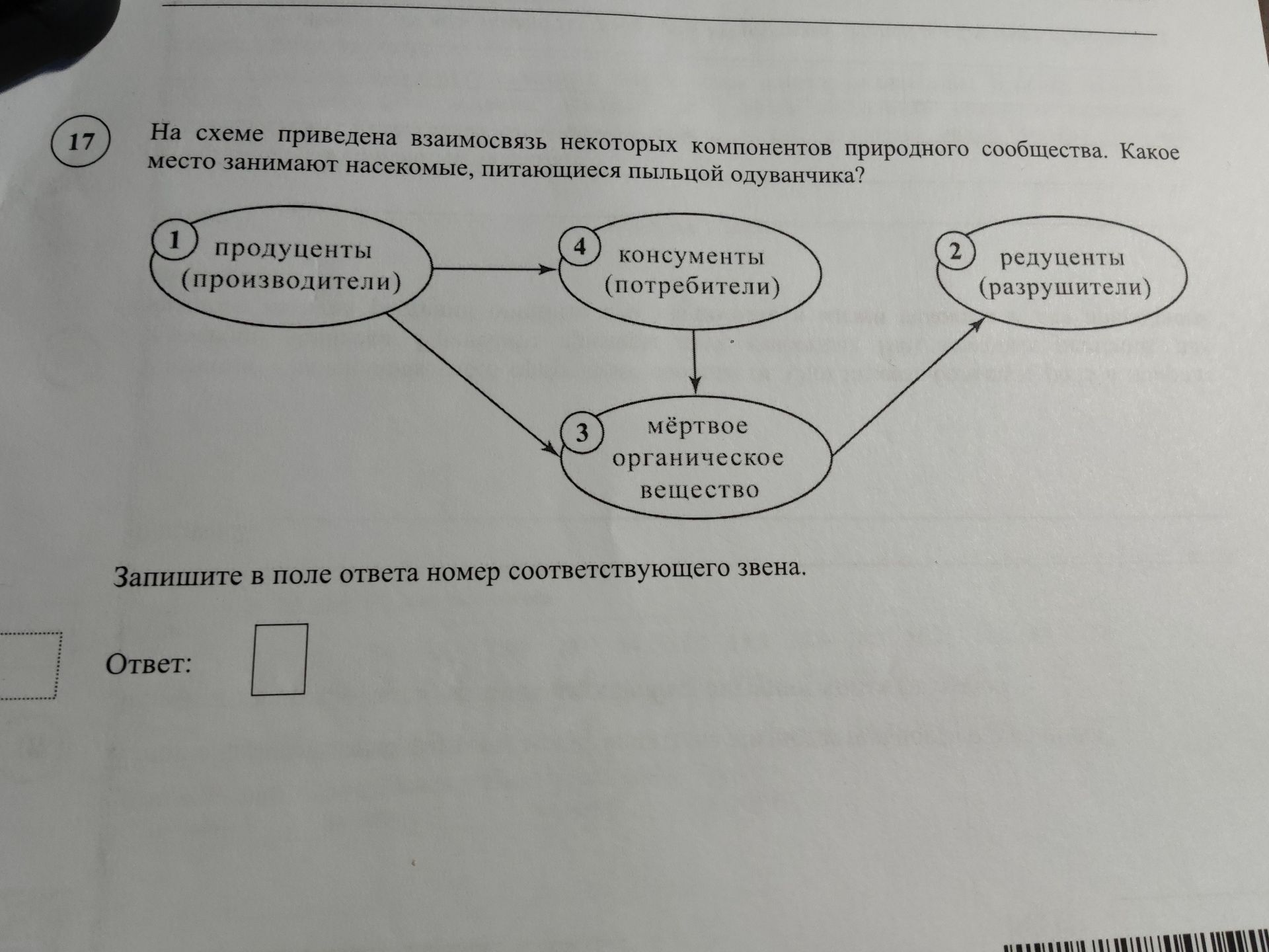 Фото задания: На схеме приведена взаимосвязь некоторых компонентов природного сообщества. Какое место занимают насекомые, питающиеся…