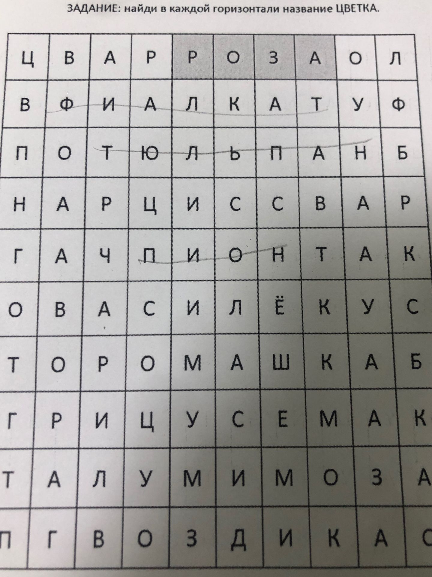 Фото задания: ЗАДАНИЕ: найди в каждой горизонтали название ЦВЕТКА.