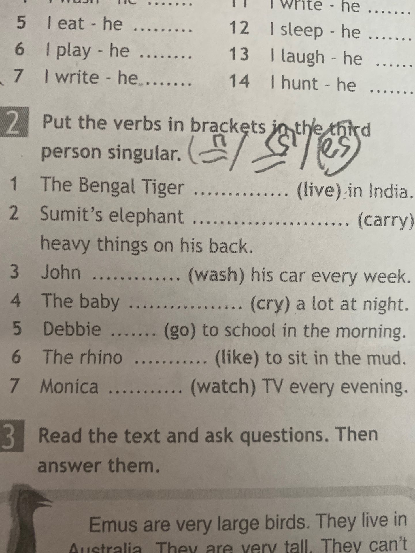 Фото задания: Put the verbs in brackets in the third person singular.