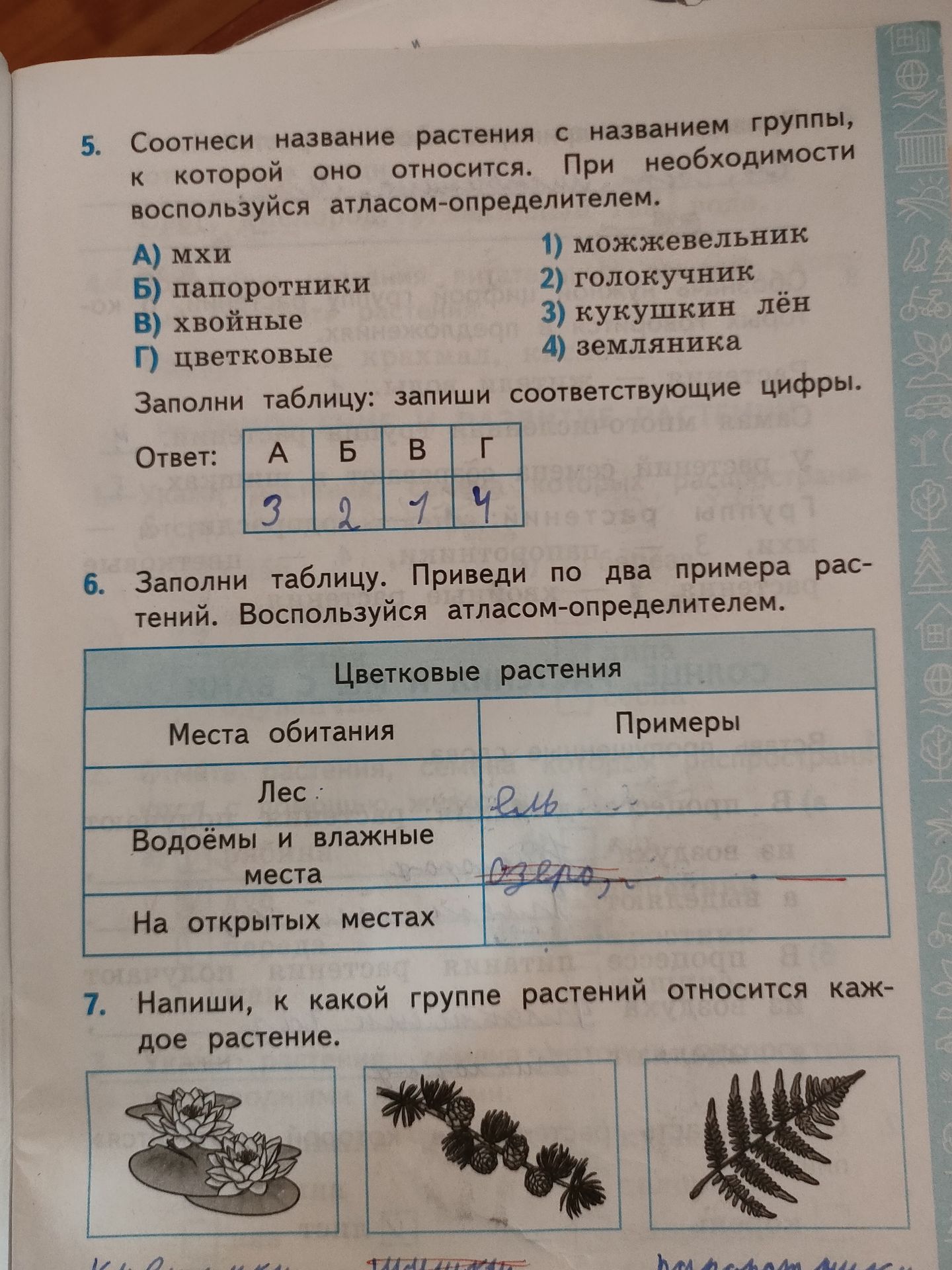 Фото задания: 7. Напиши, к какой группе растений относится каждое растение.
