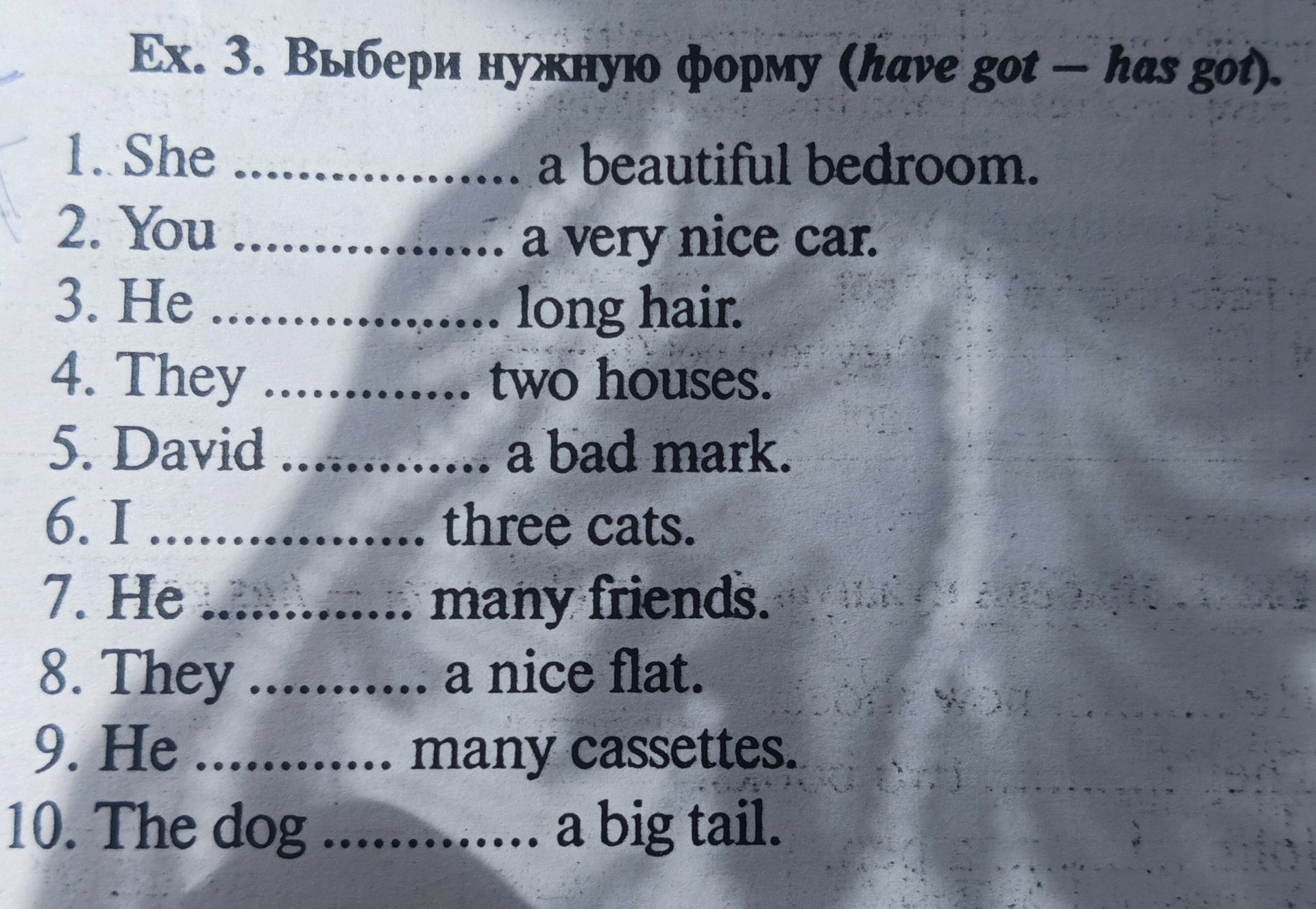 Фото задания: Ex. 3. Выбери нужную форму (have got - has got).