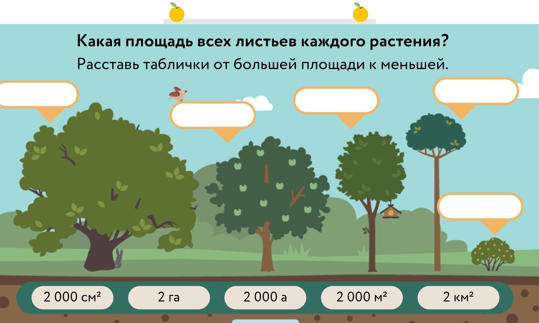 Фото задания: Какая площадь всех листьев каждого растения? Расставь таблички от большей площади к меньшей.