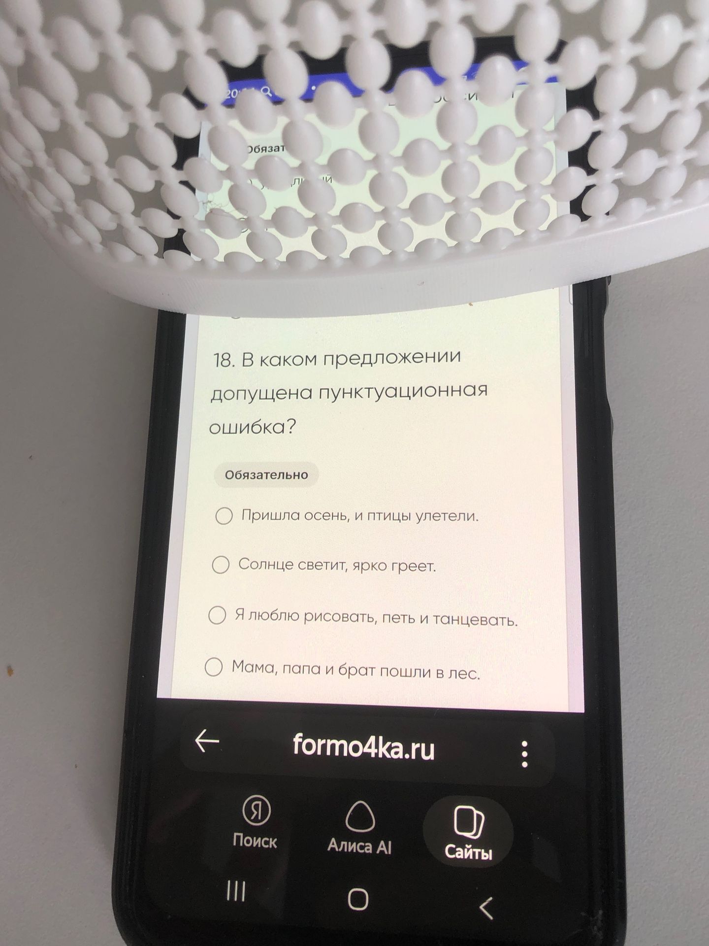 Фото задания: 18. В каком предложении допущена пунктуационная ошибка?