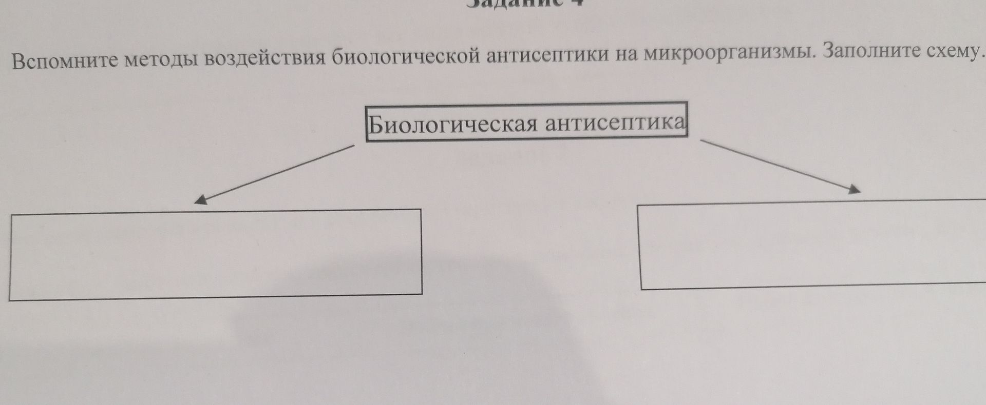 Фото задания: Вспомните методы воздействия биологической антисептики на микроорганизмы. Заполните схему.