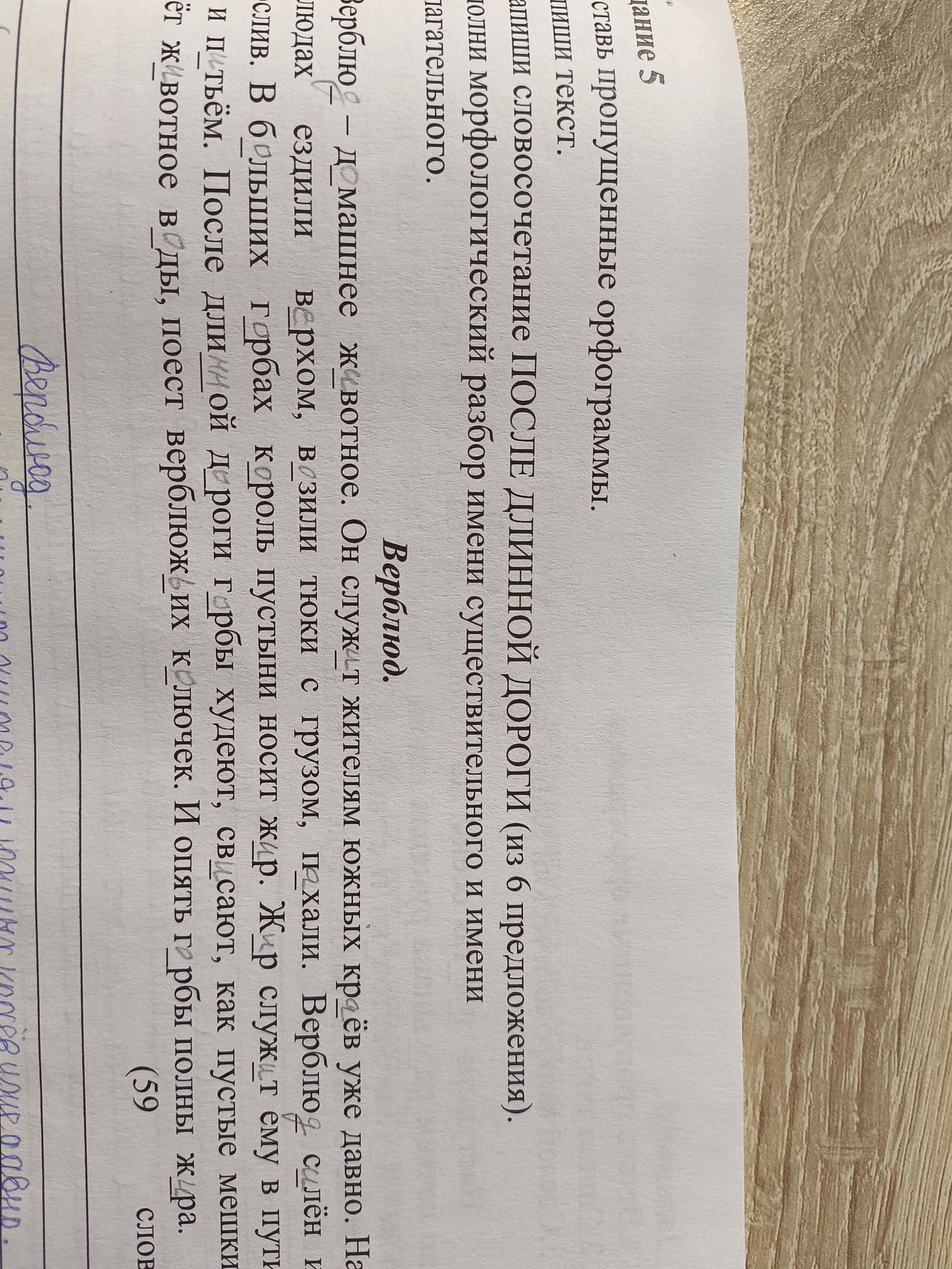 Фото задания: Вставьте пропущенные орфограммы. Напиши текст.