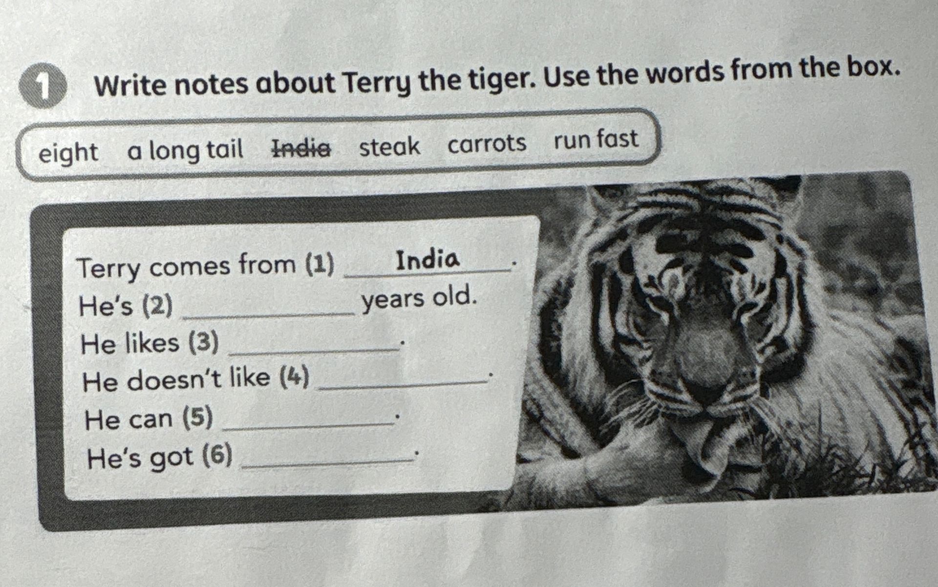 Фото задания: Write notes about Terry the tiger. Use the words from the box.