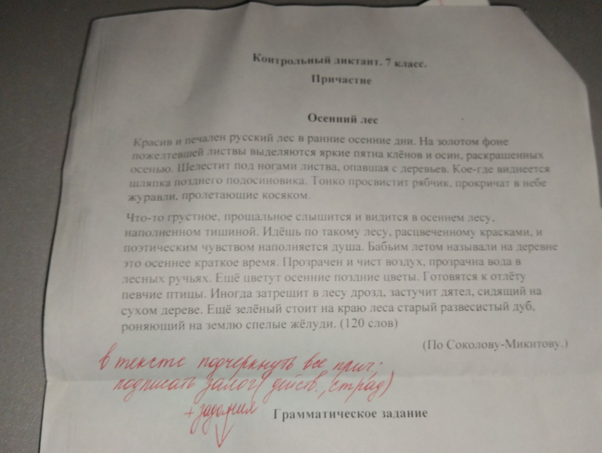 Фото задания: По данным текста, выполните грамматическое задание. Контрольный диктант. 7 класс. Причастие Осенний лес Красив и печален…