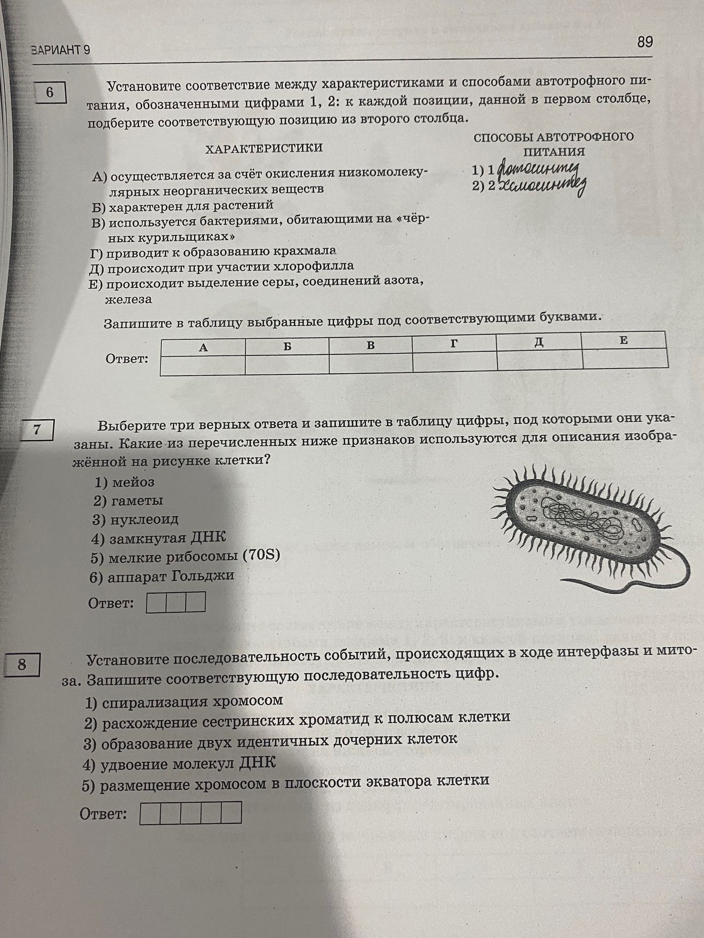 Фото задания: Установите последовательность событий, происходящих в ходе интерфазы и митоза. Запишите соответствующую последовательность…