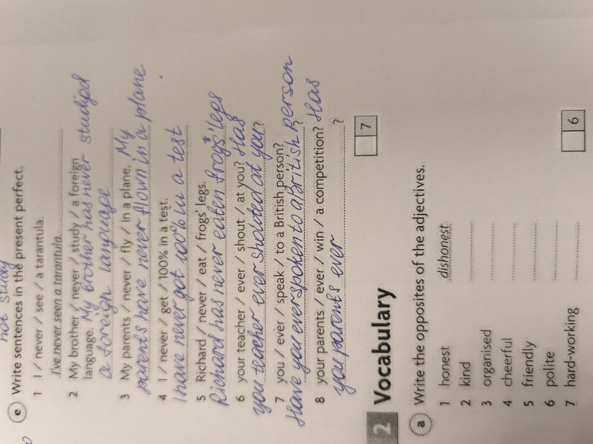 Фото задания: e Write sentences in the present perfect. 1 I/never / see / a tarantula. 2 My brother / never / study / a foreign language.…