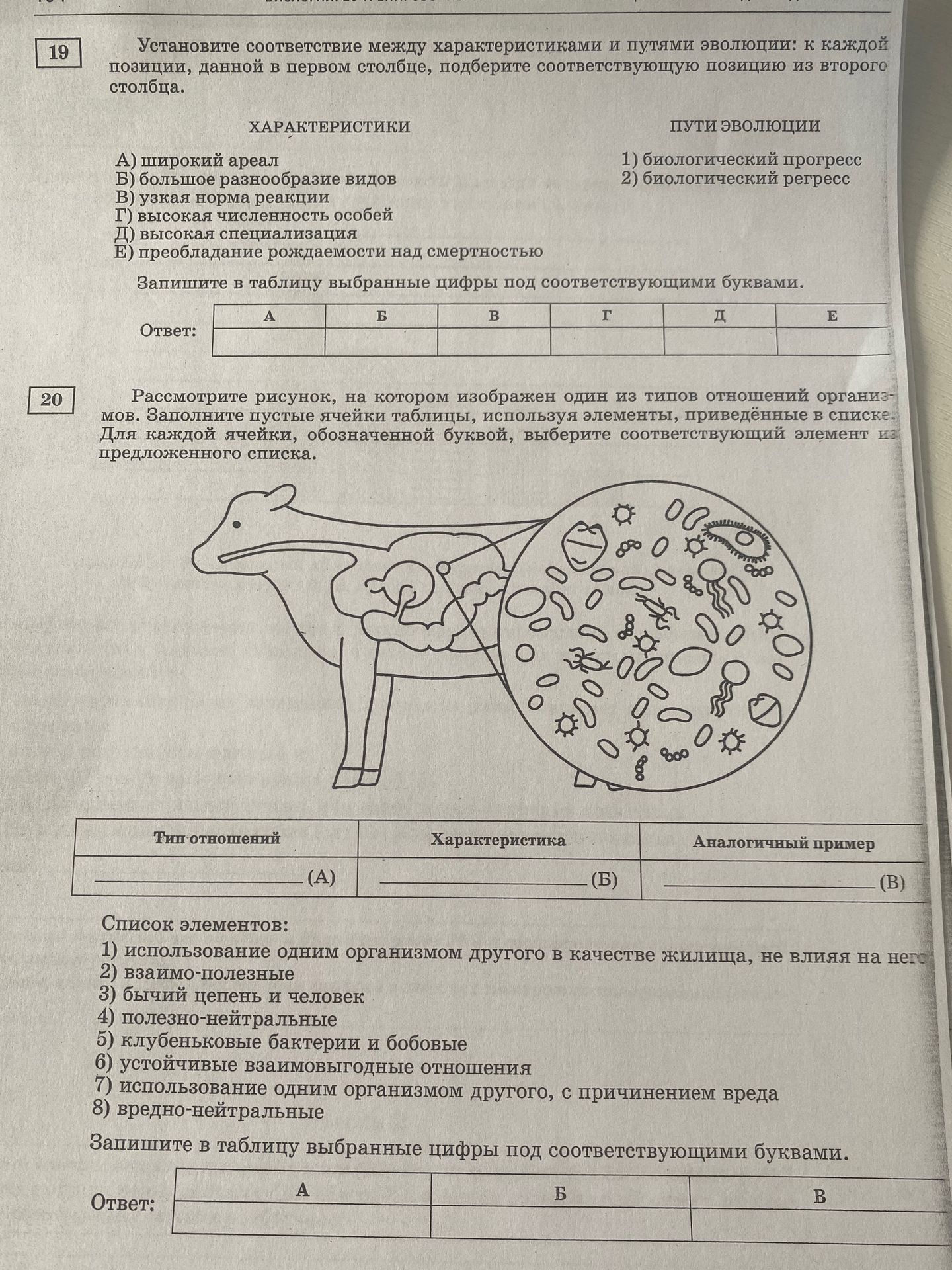 Фото задания: Установите соответствие между характеристиками и путями эволюции: к каждой позиции, данной в первом столбце, подберите…