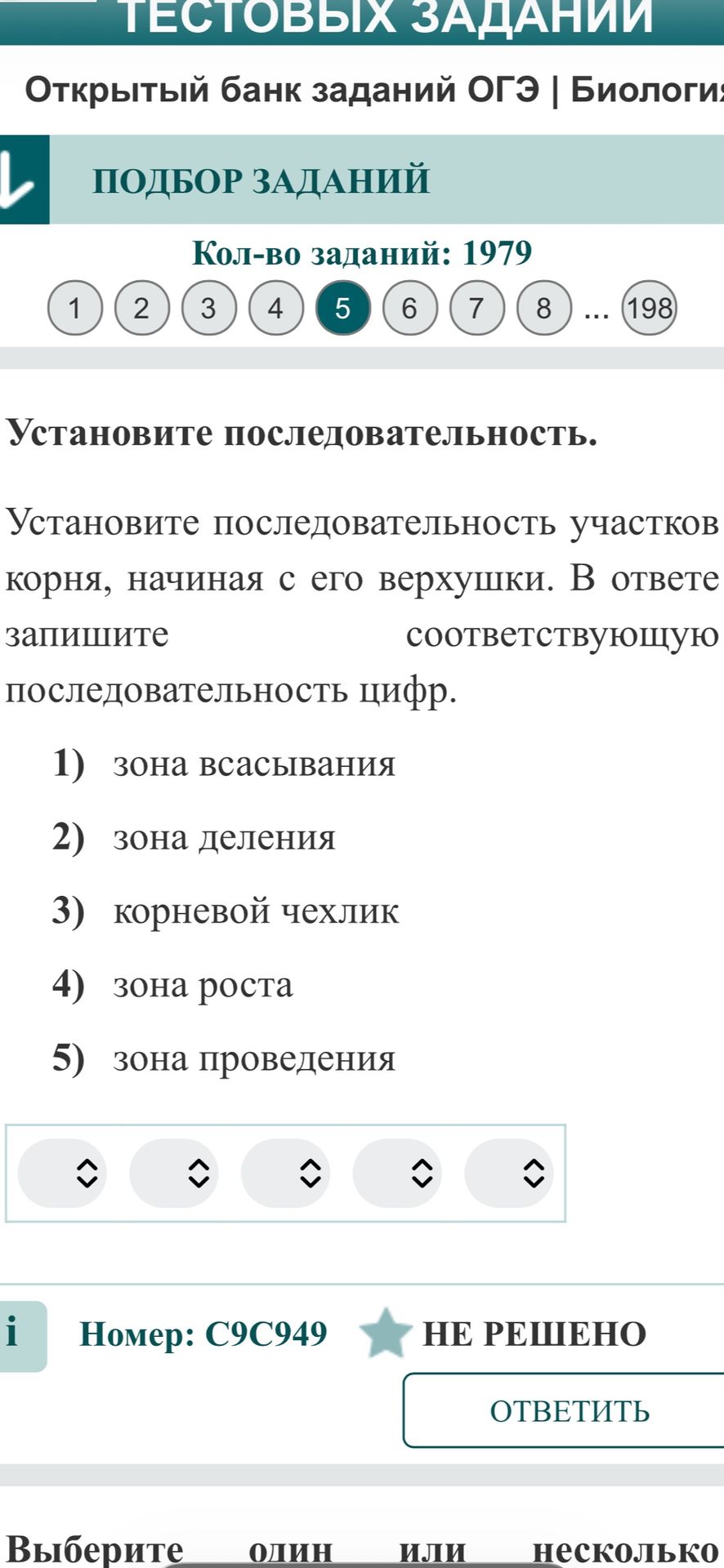 Фото задания: Установите последовательность участков корня, начиная с его верхушки. В ответе запишите соответствующую последовательность…