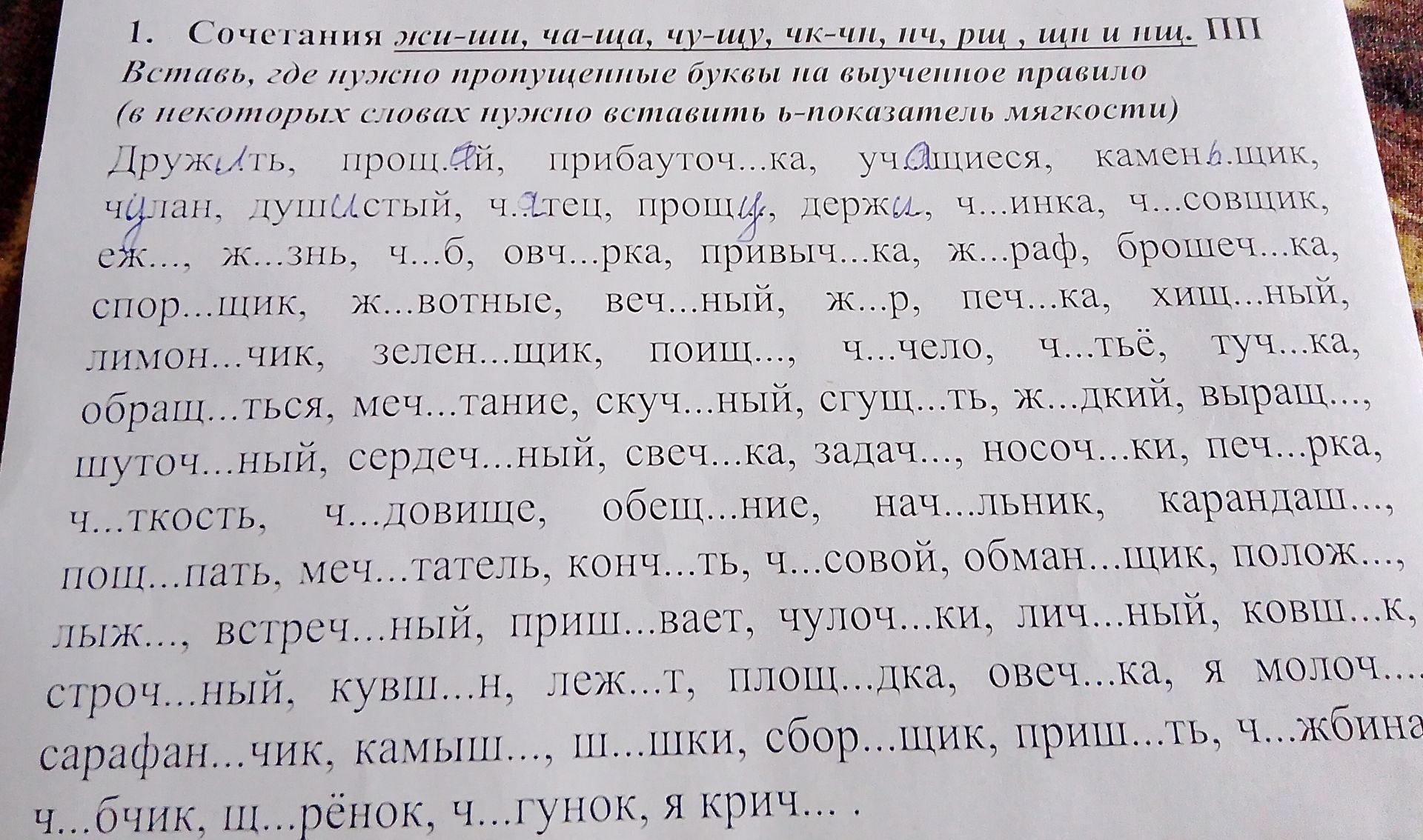 Фото задания: 1. Сочетания жи-ши, ча-ща, чу-щу, чк-чи, ич, рщ, щи и ищ. Вставь, где нужно пропущенные буквы на выученное правило (в…