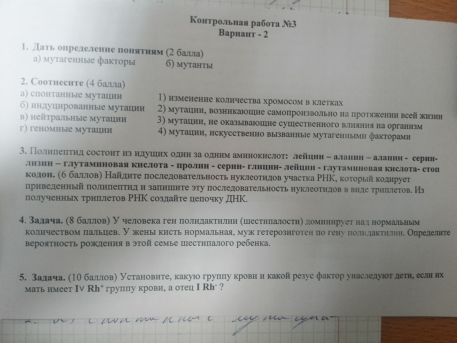 Фото задания