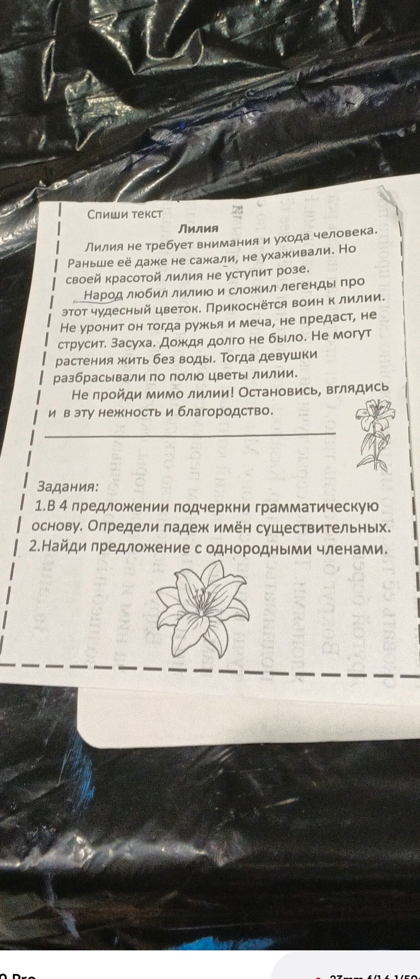 Фото задания