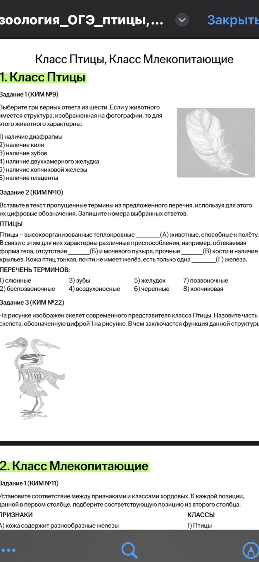 Фото задания