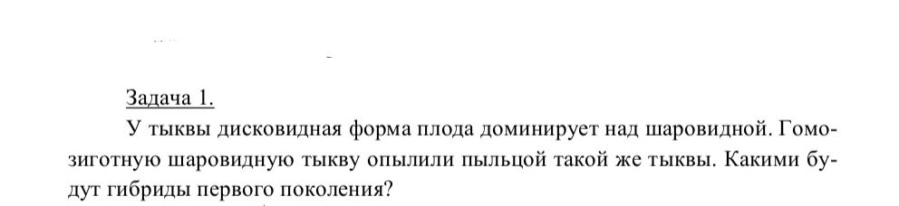 Фото задания: У тыквы дисковидная форма плода доминирует над шаровидной. Гомозиготную шаровидную тыкву опылили пыльцой такой же тыквы.…