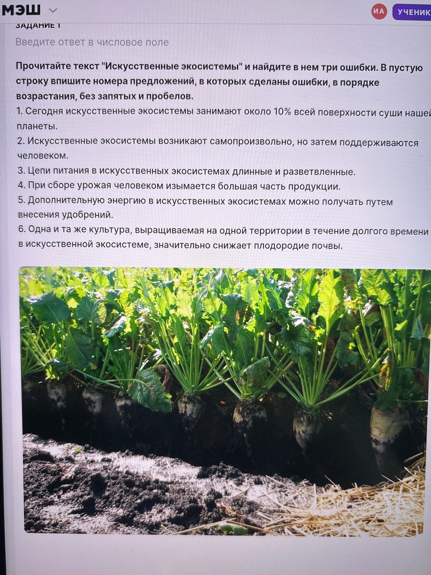 Фото задания: Прочитайте текст "Искусственные экосистемы" и найдите в нем три ошибки. В пустую строку впишите номера предложений, в которых…