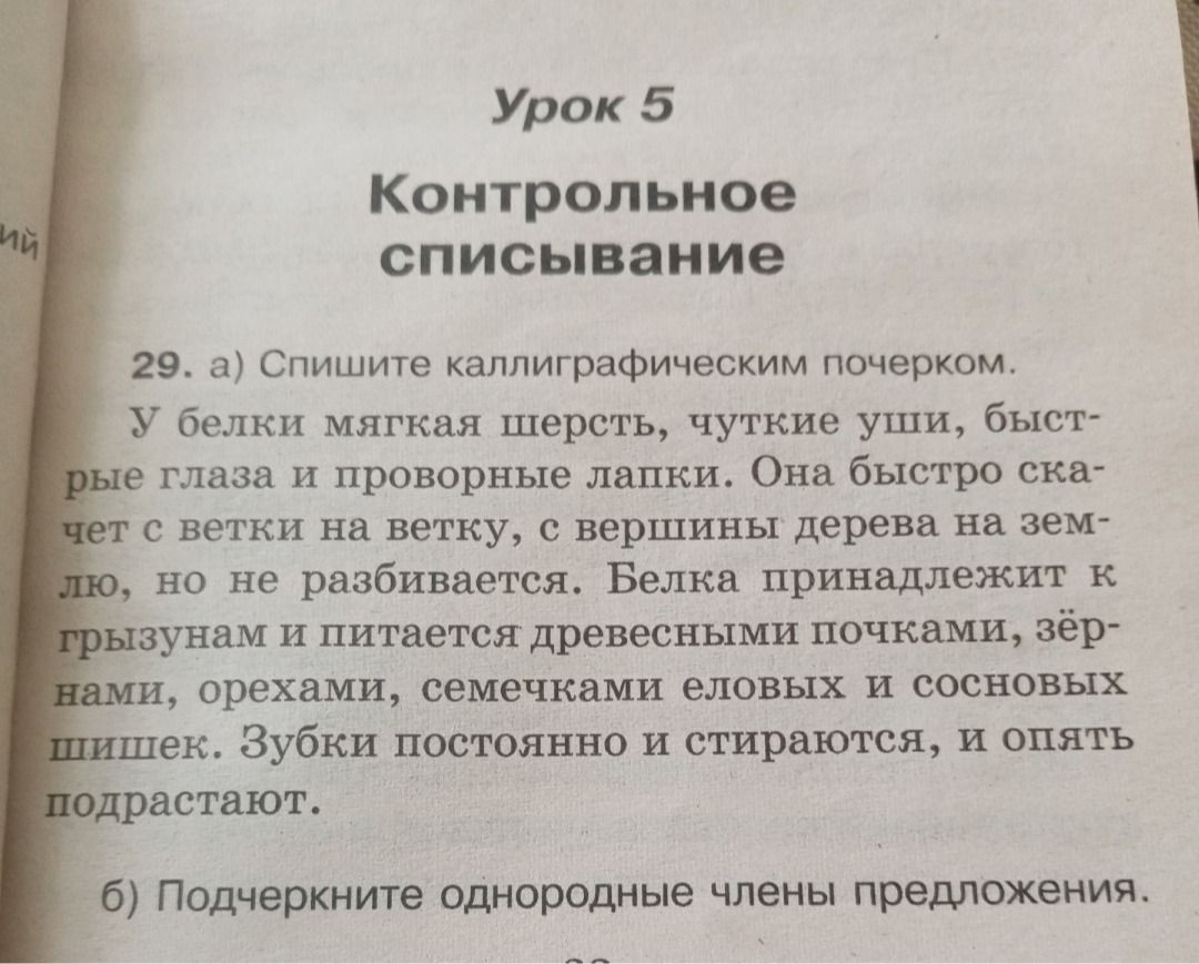 Фото задания: 29. а) Спишите каллиграфическим почерком. У белки мягкая шерсть, чуткие уши, быстрые глаза и проворные лапки. Она быстро…