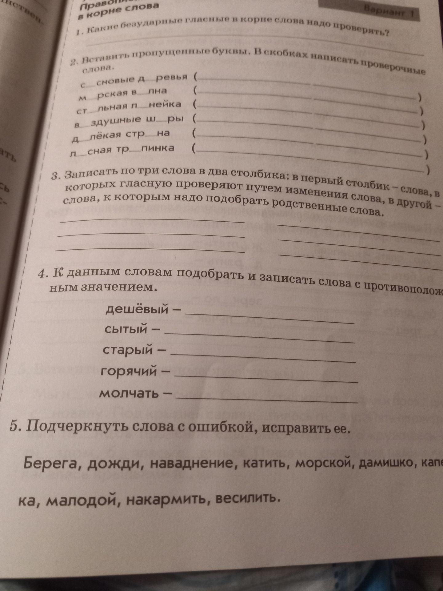 Фото задания: 2. Вставить пропущенные буквы. В скобках написать проверочные слова.