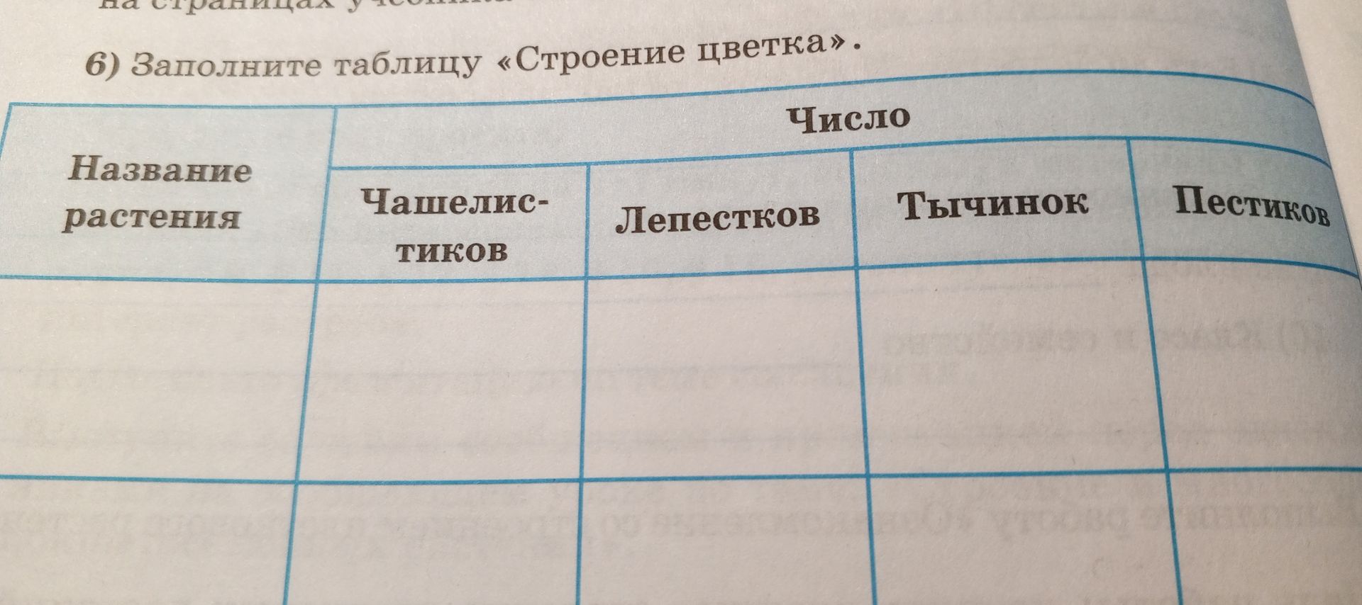 Фото задания: 6) Заполните таблицу «Строение цветка».