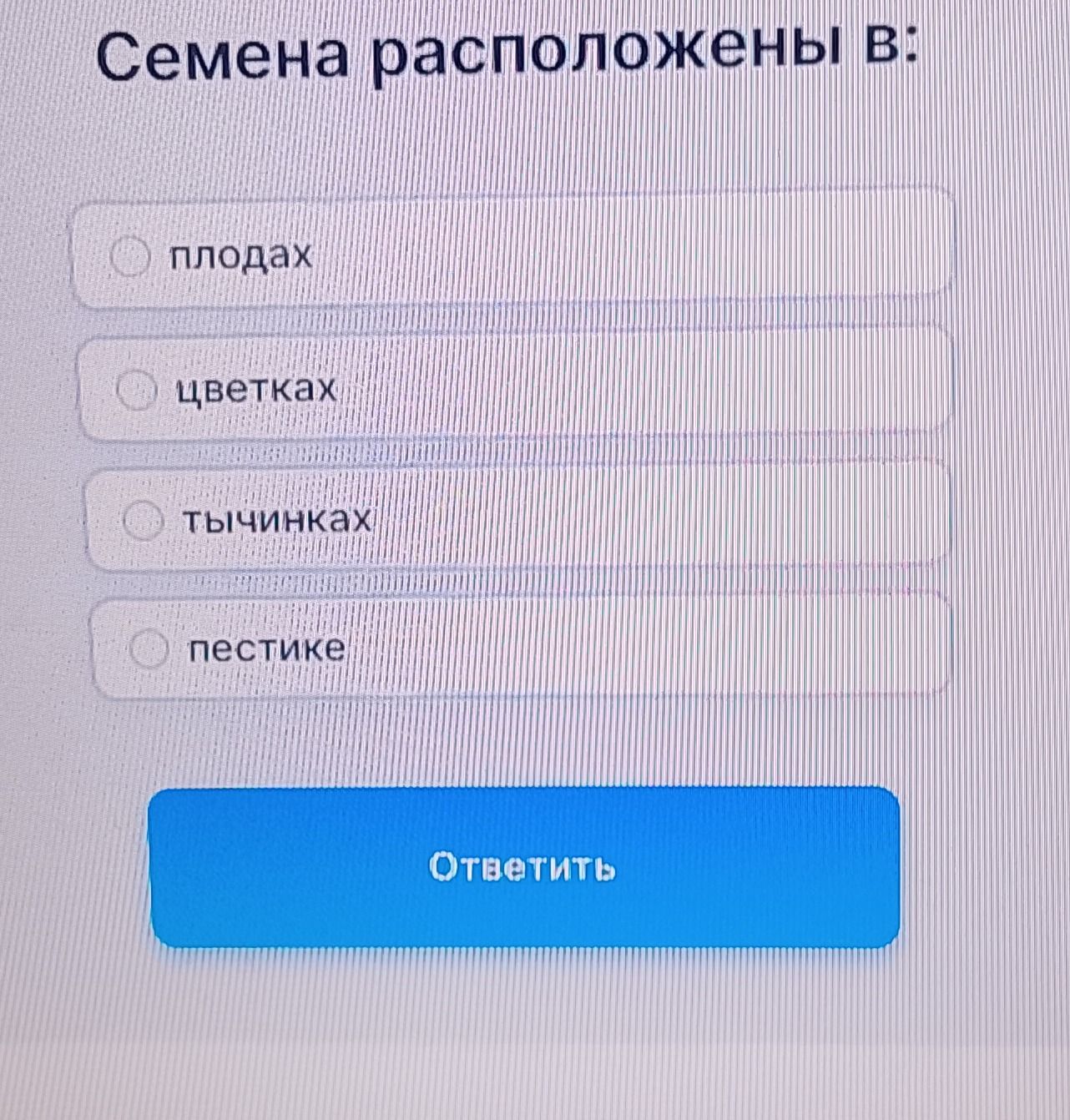 Фото задания: Семена расположены в: